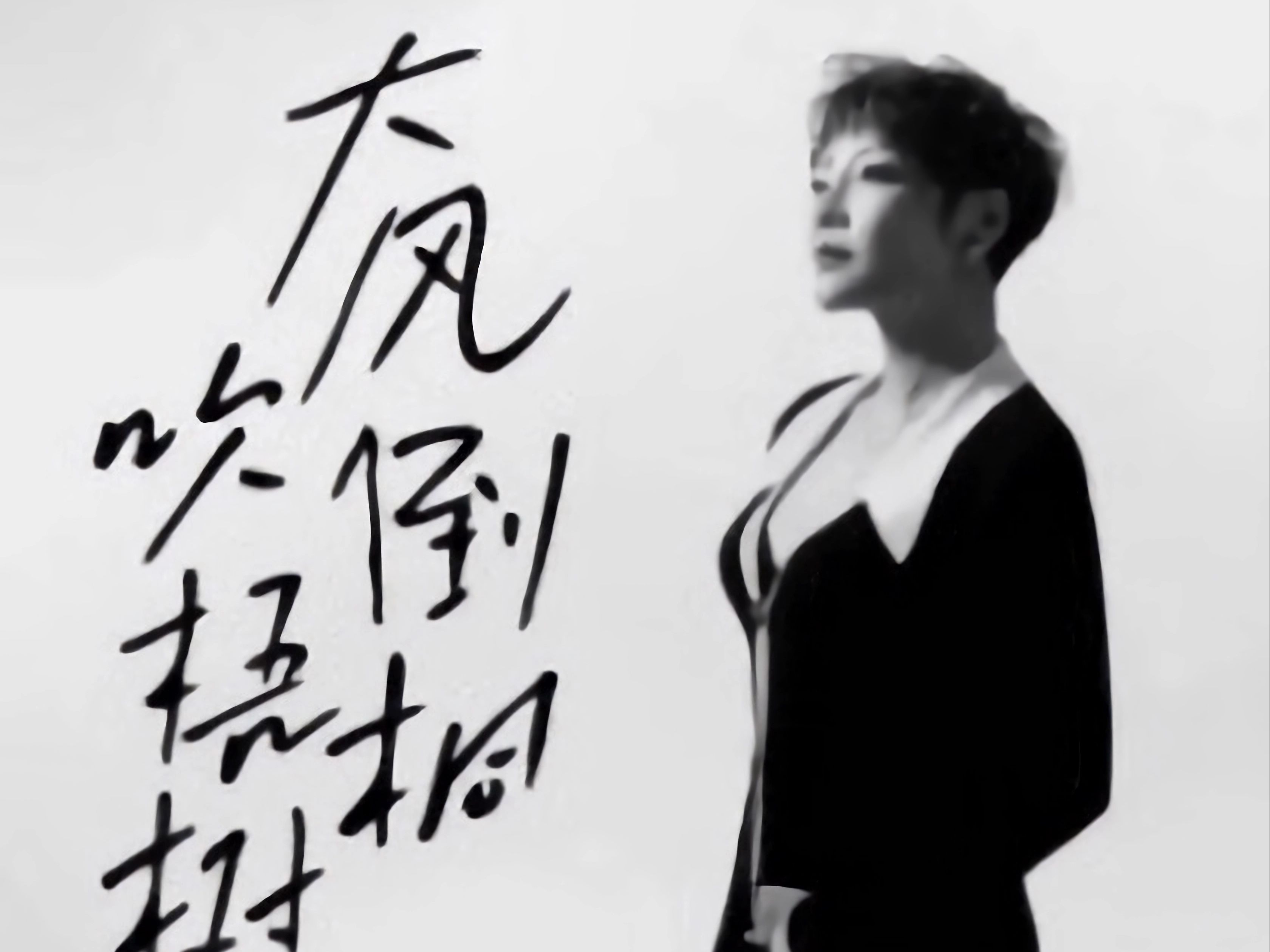 大风吹倒那棵梧桐树 没钱难买通天路《大风吹倒梧桐树》(女版)