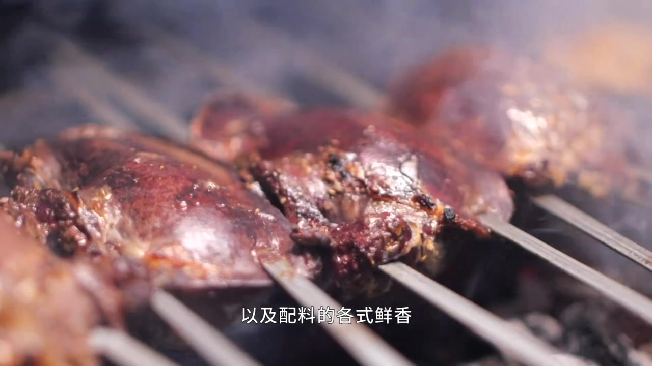 排队小吃第2季不尝一尝新疆的烤塞脾你就算白来了烤塞脾是啥和田烧烤