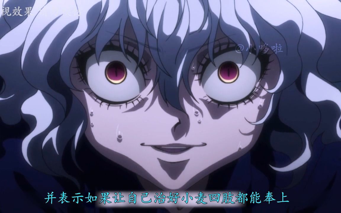 一口气看完全职猎人嵌合蚁篇