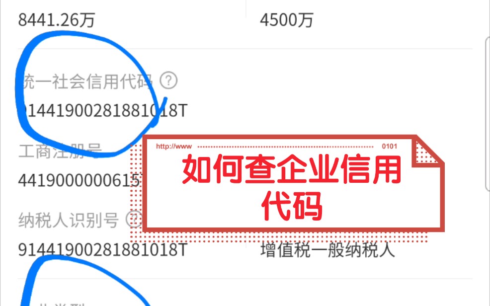 如何查企业信用代码哔哩哔哩bilibili