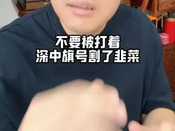 Download Video: 深中通道开通没广州啥事？