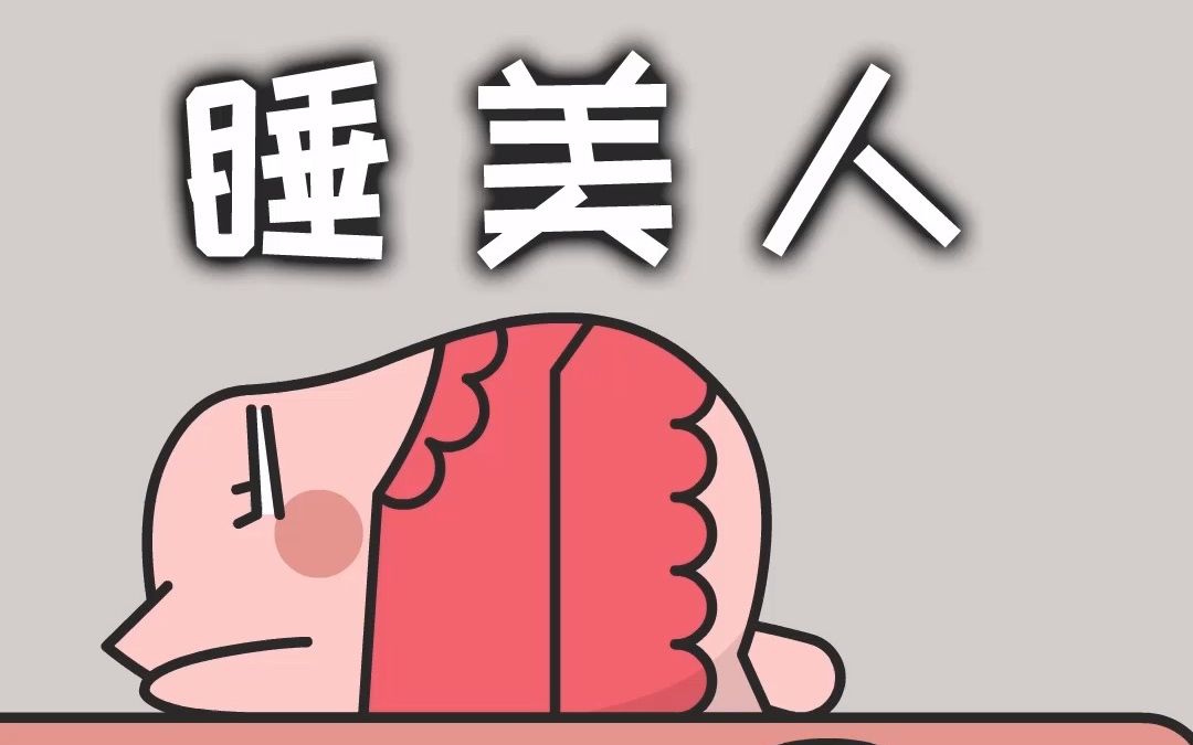 叫醒睡美人不一定要用吻的哔哩哔哩bilibili