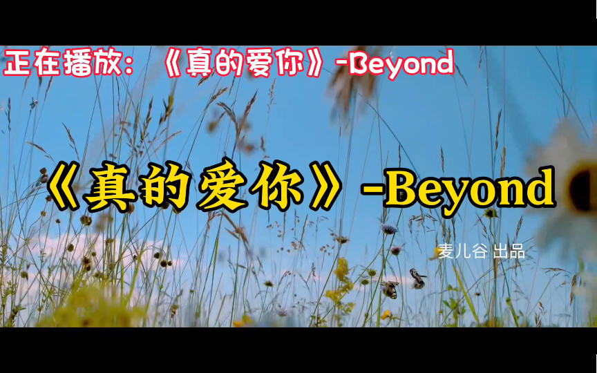 《真的爱你》Beyond,超好听90后华语经典歌曲合集,音乐推荐哔哩哔哩bilibili