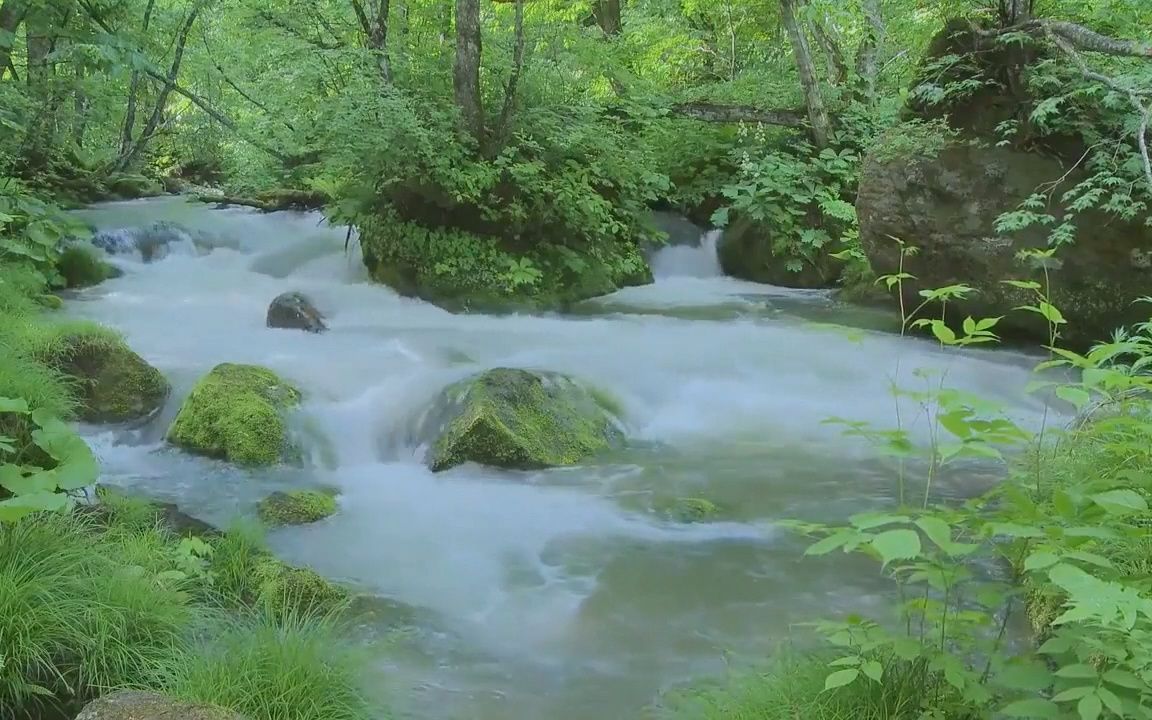 [图]倾听大自然的声音，10分钟的流水声，放空思想，放松解压，助眠，入睡，冥想