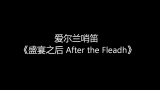 [图]【爱尔兰哨笛】 演奏 《盛宴之后 After the Fleadh》