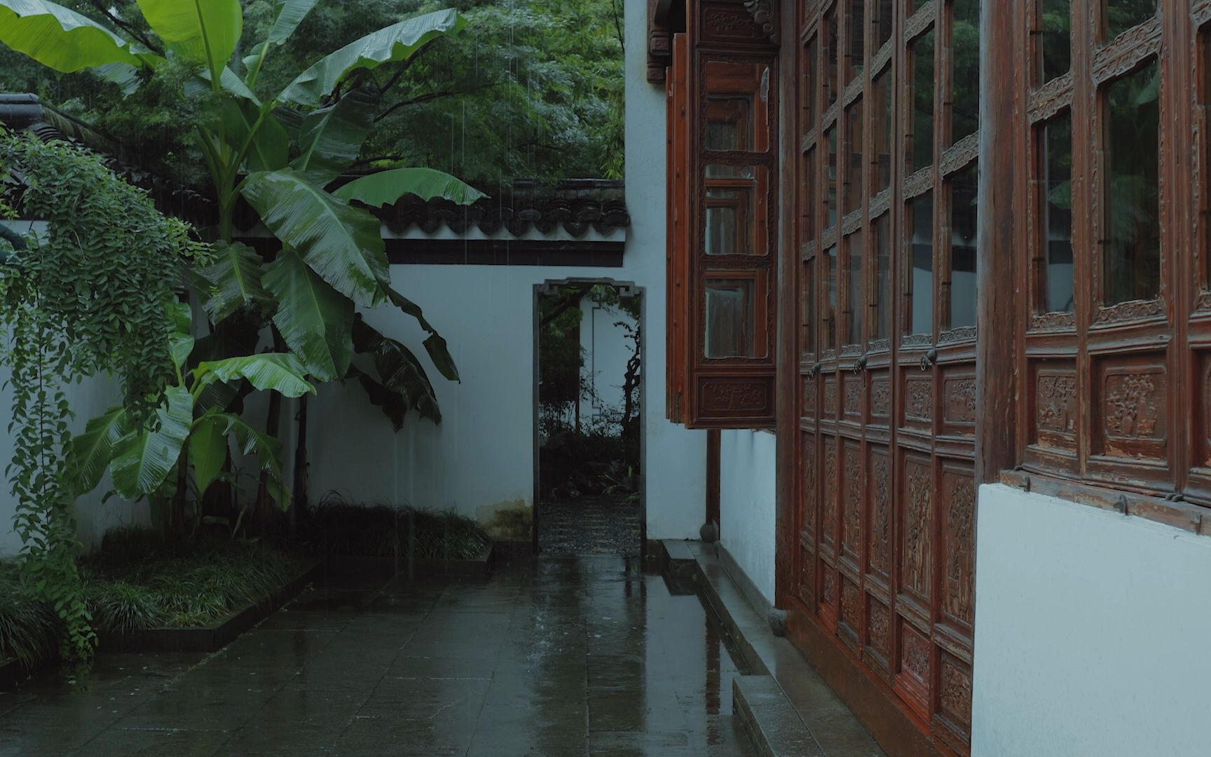 [图]【白噪音】雨打芭蕉 治愈风景 I 杭州郭庄