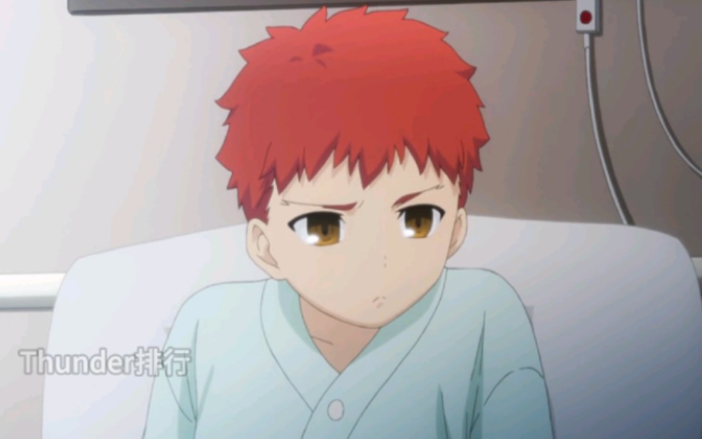 fate ubw/hf 御主战力排行榜!第二名——正义的伙伴 卫宫士郎!