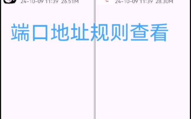 查看端口规则地址还有端口号