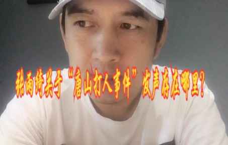 张雨绮关于“唐山打人事件”言论,她错了吗?错了.错在哪?哔哩哔哩bilibili