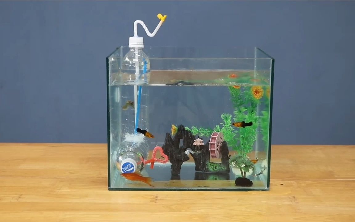 大可乐瓶手工制作鱼缸图片