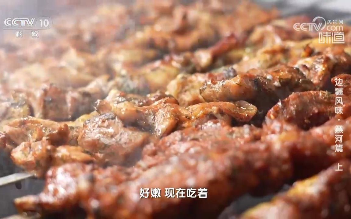 黑龙江省黑河美食: 大串烤肉 烤猪排 烤整鸡 卤猪头 沙棘猪头肉 蓝莓烤肘子 鄂伦春烤牛肉条 大骨头炖老山芹 干蹦兔肉哔哩哔哩bilibili