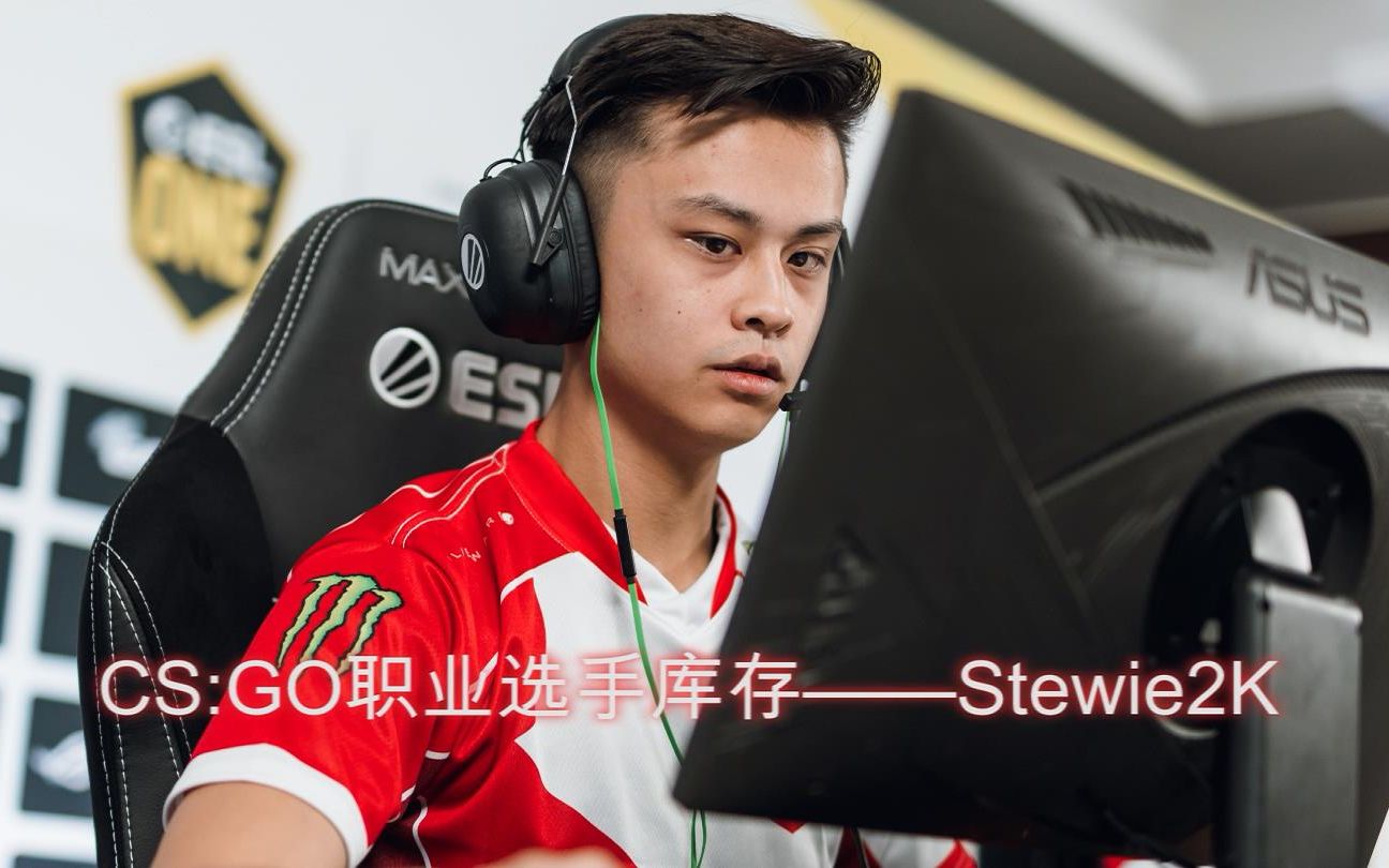 csgo职业选手库存stewie2k