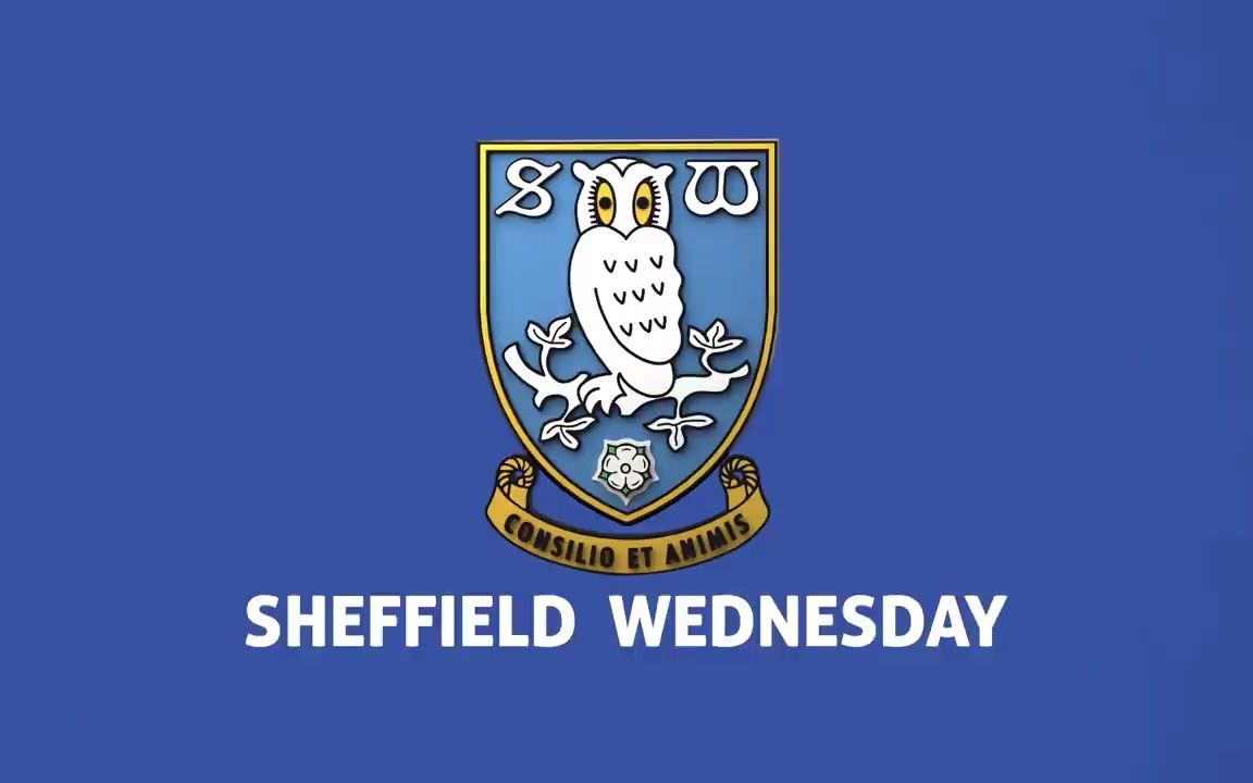 [图]我们是谢菲尔德星期三 ---- We are Sheffield Wednesday!