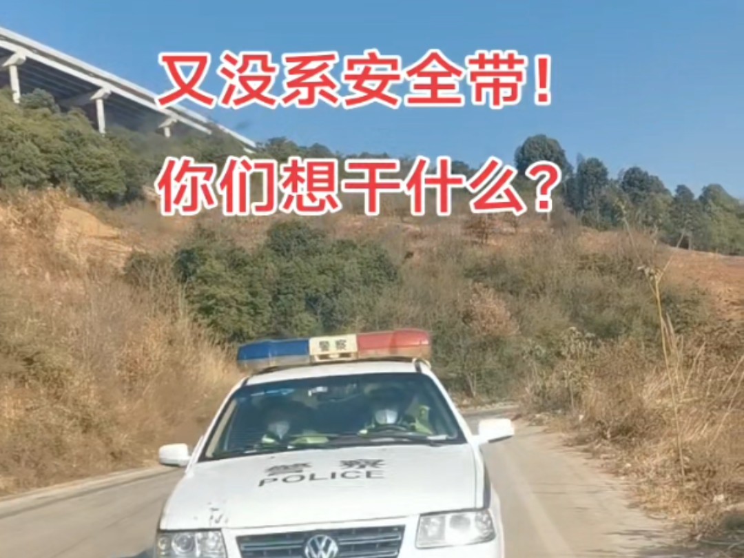 昆明交警又没系安全带!哔哩哔哩bilibili