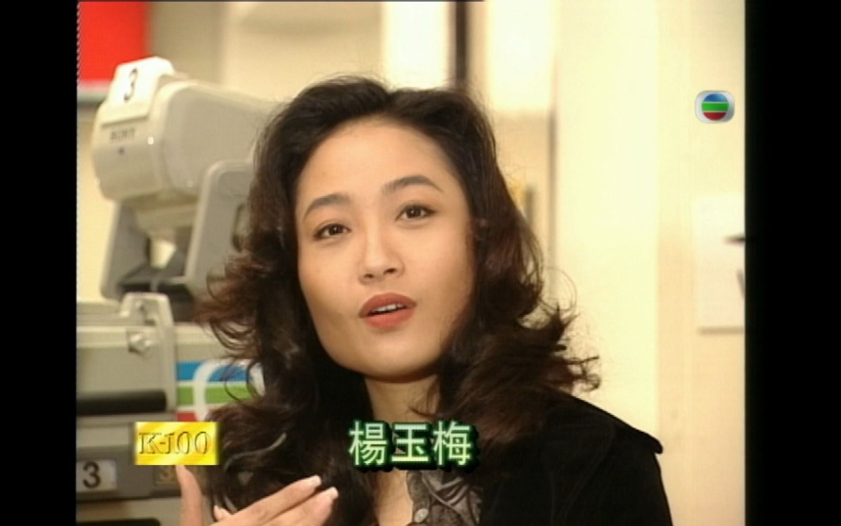 杨玉梅,郭富城,朱茵,陈法蓉,陈浩民,薛家燕,陈松伶,吴启华,麦长青