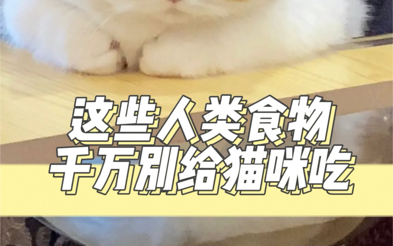 [图]坚决不能给猫咪吃的人类食物，猫吃了活不过24 个小时，快转发给你养猫的朋友吧