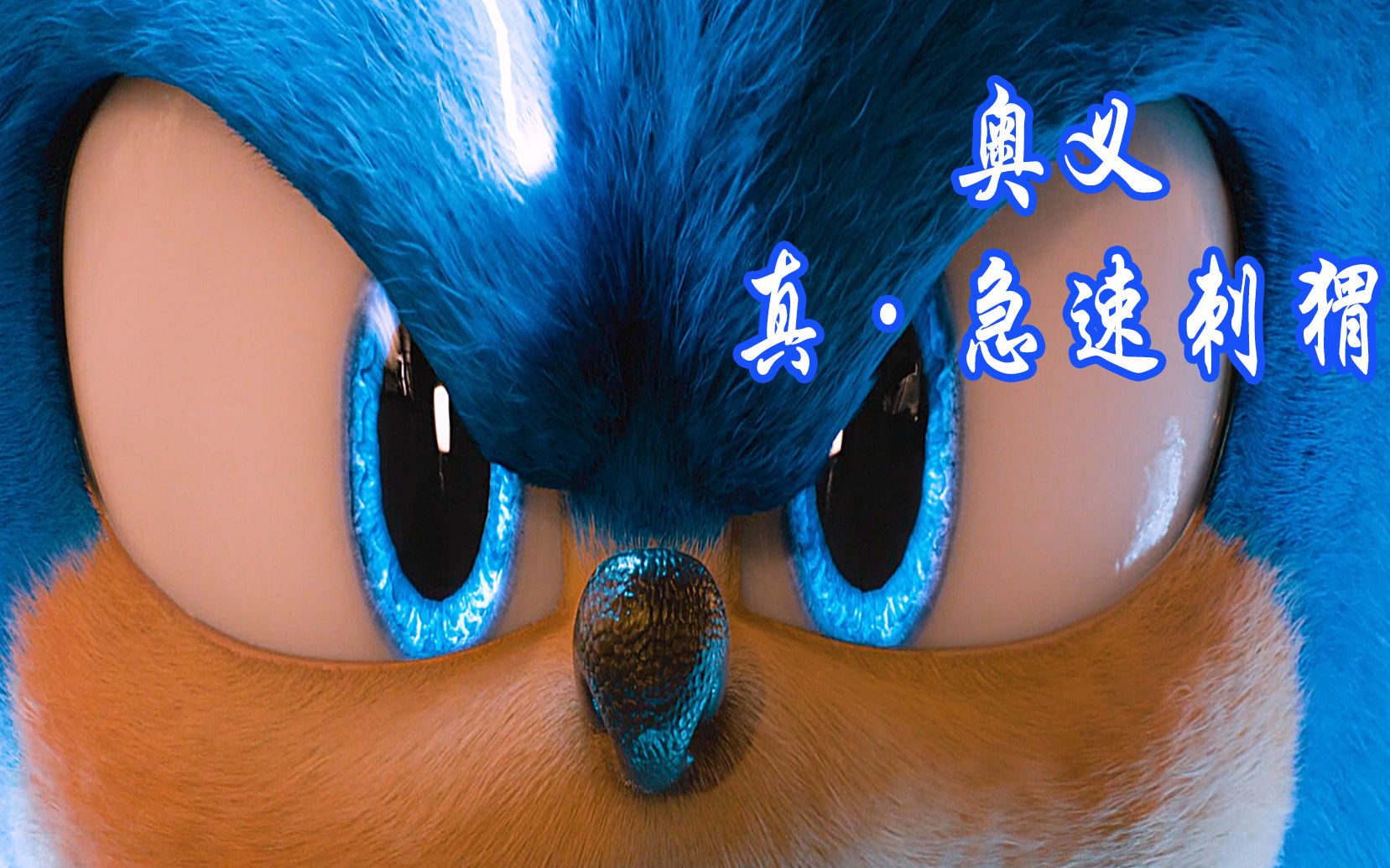 刺猬索尼克/60帧/颠覆超高清/科技面前无对手,除非遇上带刺的它