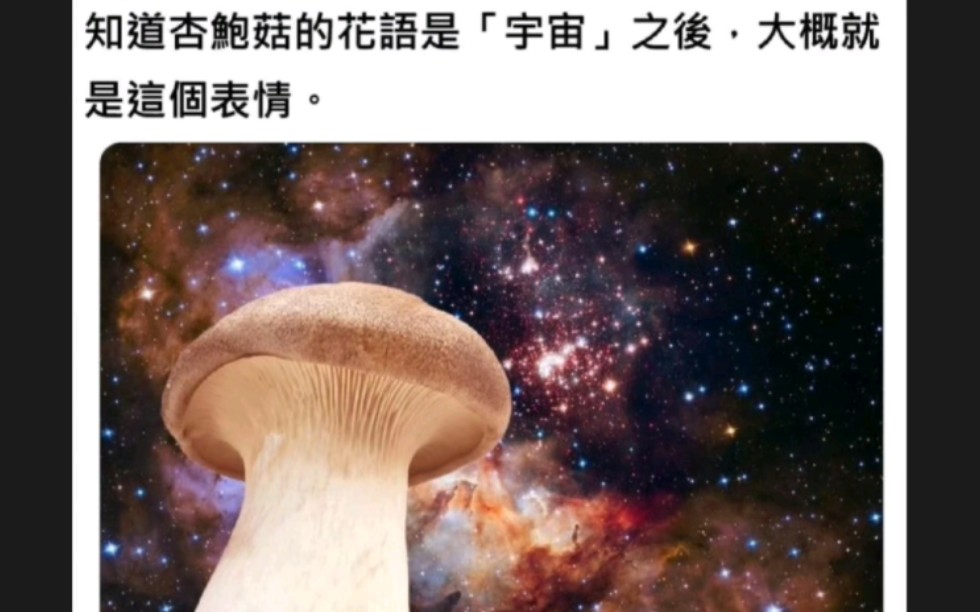 知道杏鲍菇的花语是“宇宙”之后,大概是这个表情...哔哩哔哩bilibili