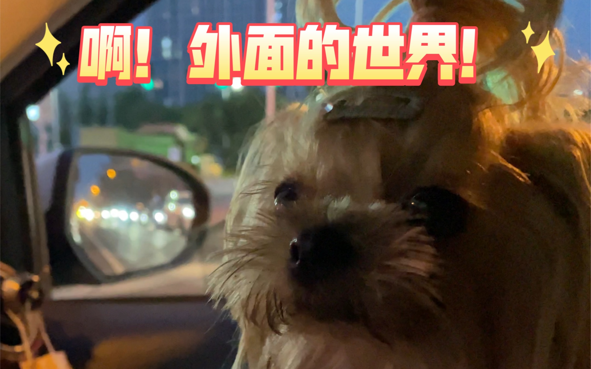 就喜欢你这种没见过世面的样子!