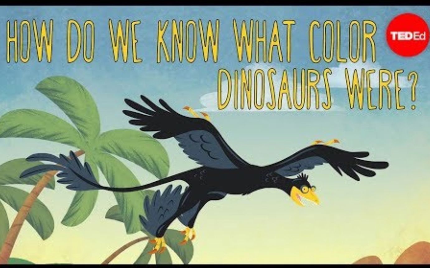 【TedED】我们怎么知道恐龙是什么颜色的 How Do We Know What Color Dinosaurs Were哔哩哔哩bilibili