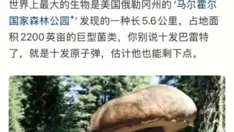 自然界哪些生物可以扛住十发巴雷特？