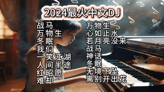 [图]2024最火的中文dj，嗨起来