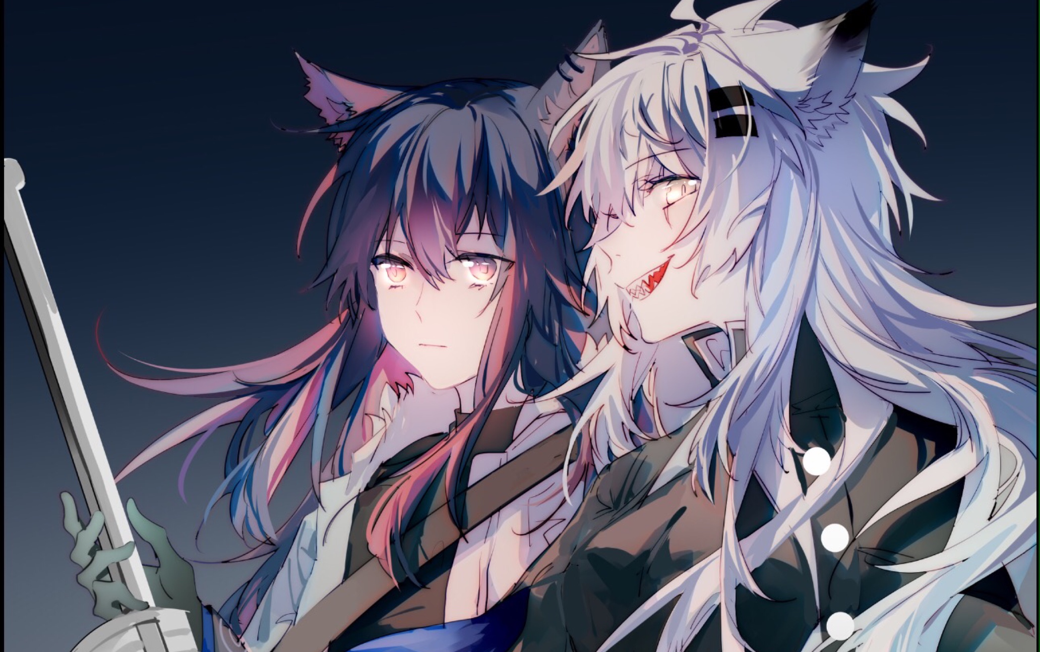 双狼之拉普兰德的新衣