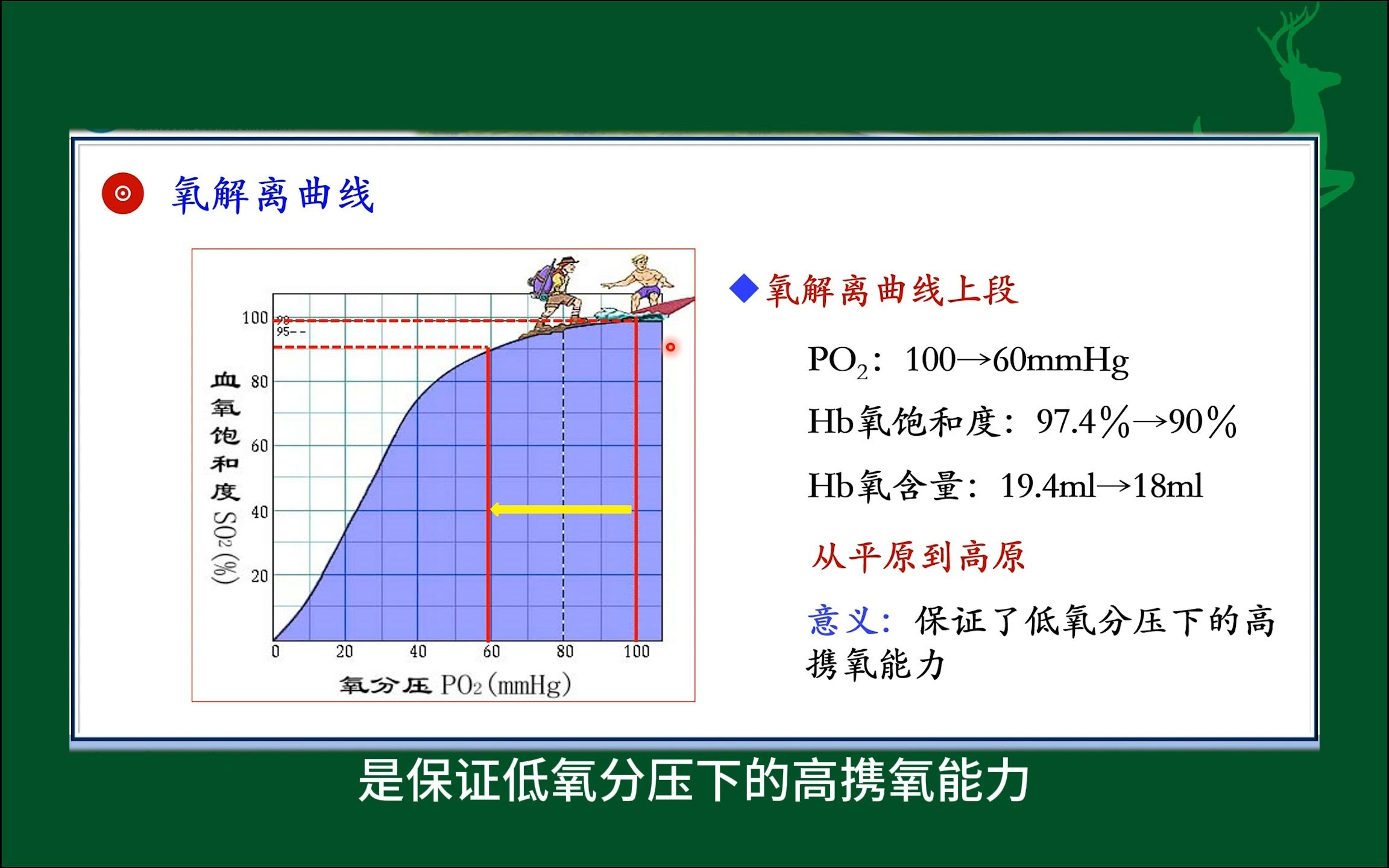 氧离曲线右移是因为图片