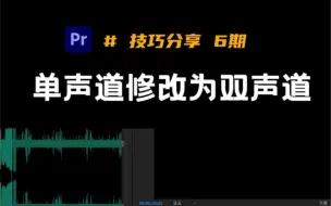 Download Video: 单声道如何修改为双声道？这个技巧操作用起来