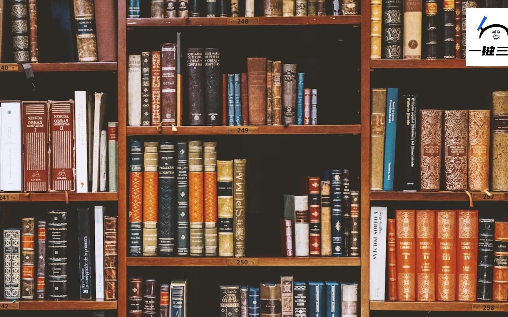 活动  淅淅沥沥雨声中的复古图书馆