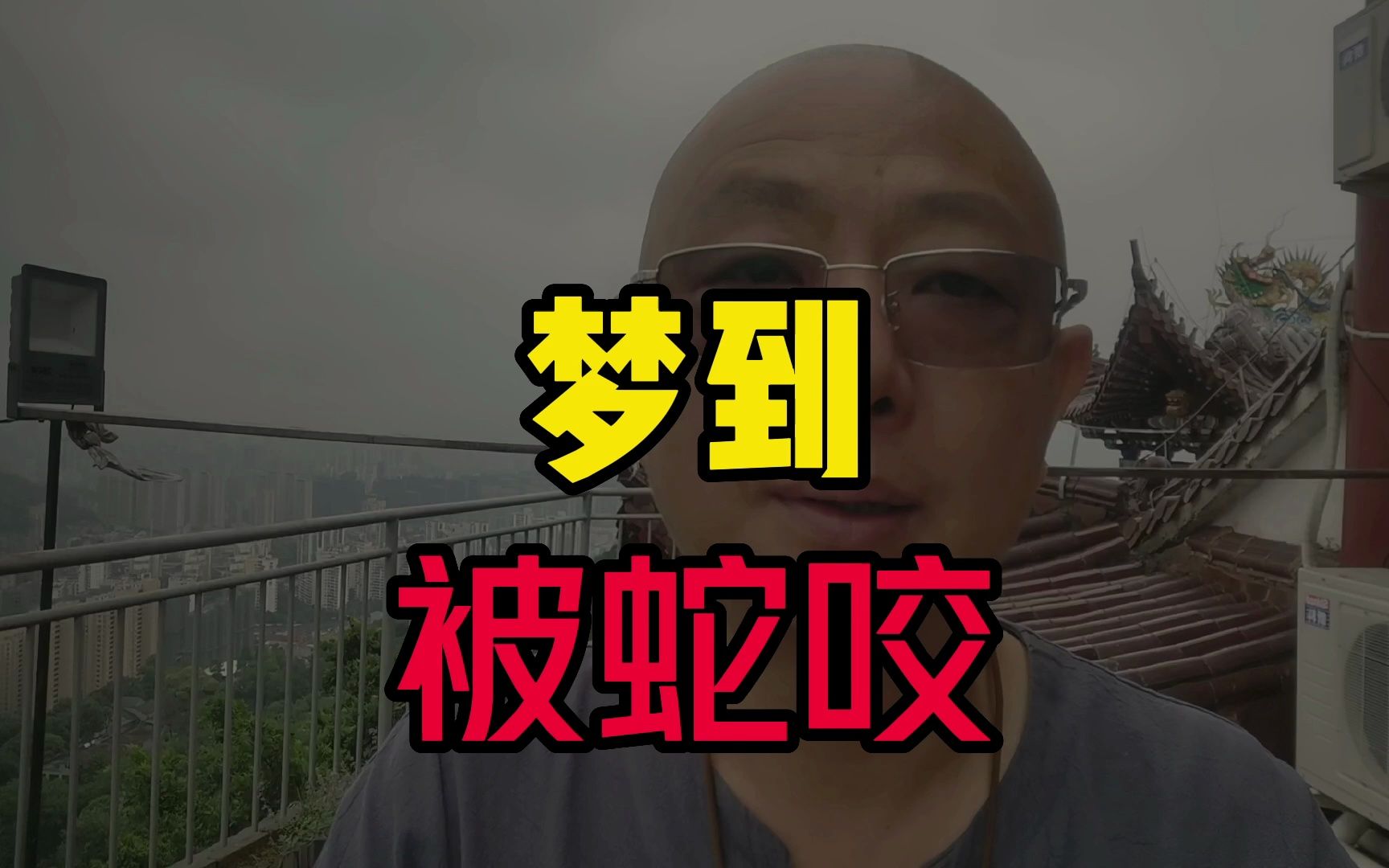 梦到被蛇咬,我承认了,是我咬的哔哩哔哩bilibili