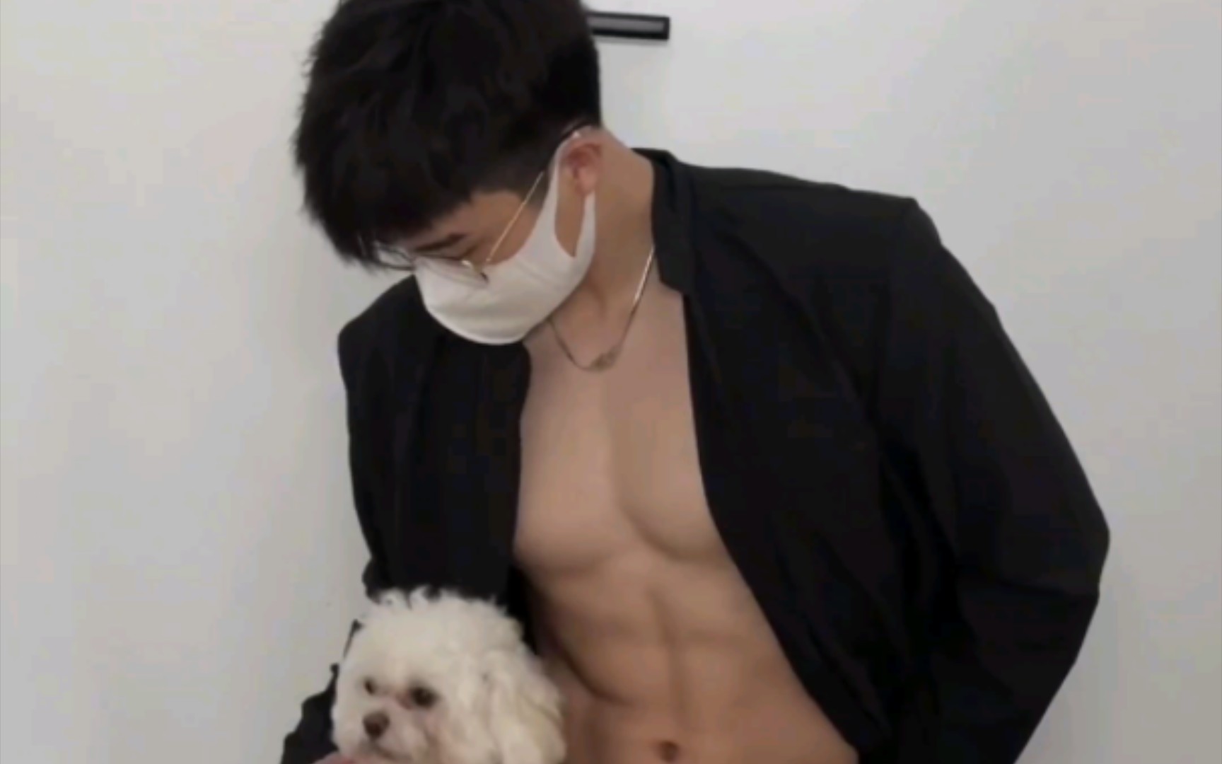 犬系男友哔哩哔哩bilibili