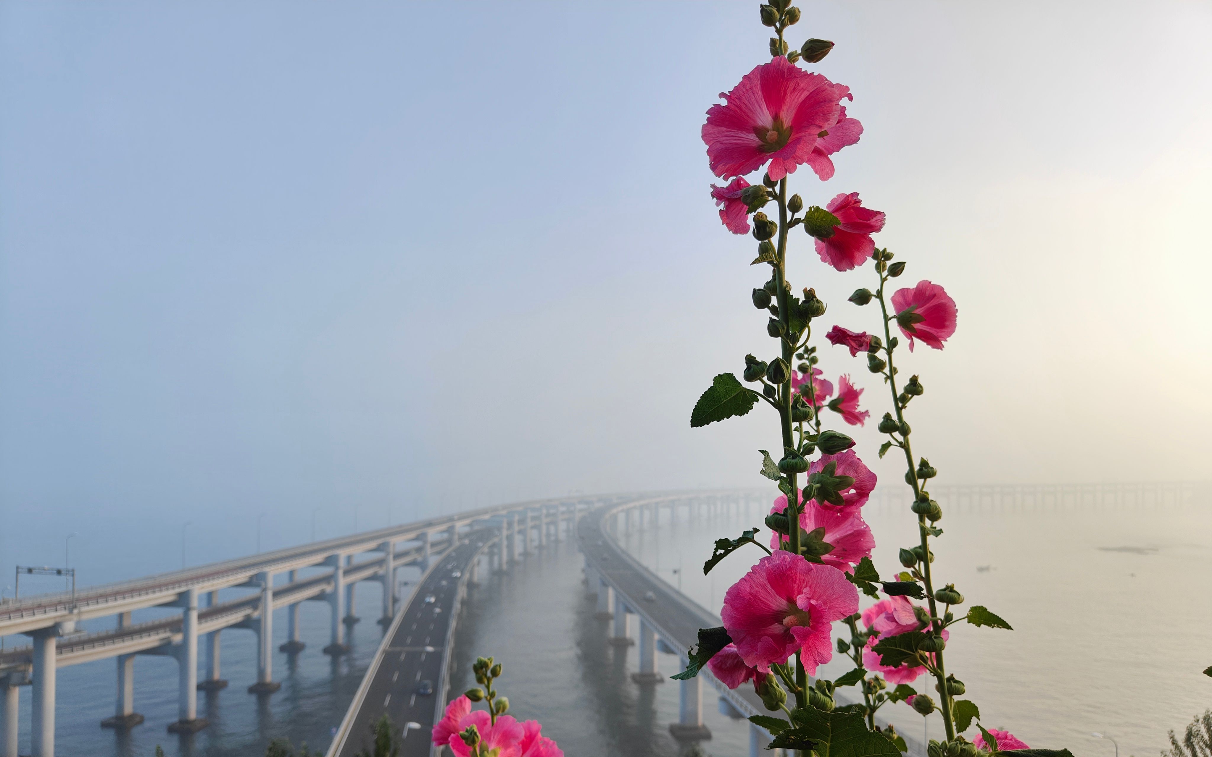 记录大连丨白云雁水(内有丧尸追逐戏)