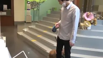 简简单单的生活感
