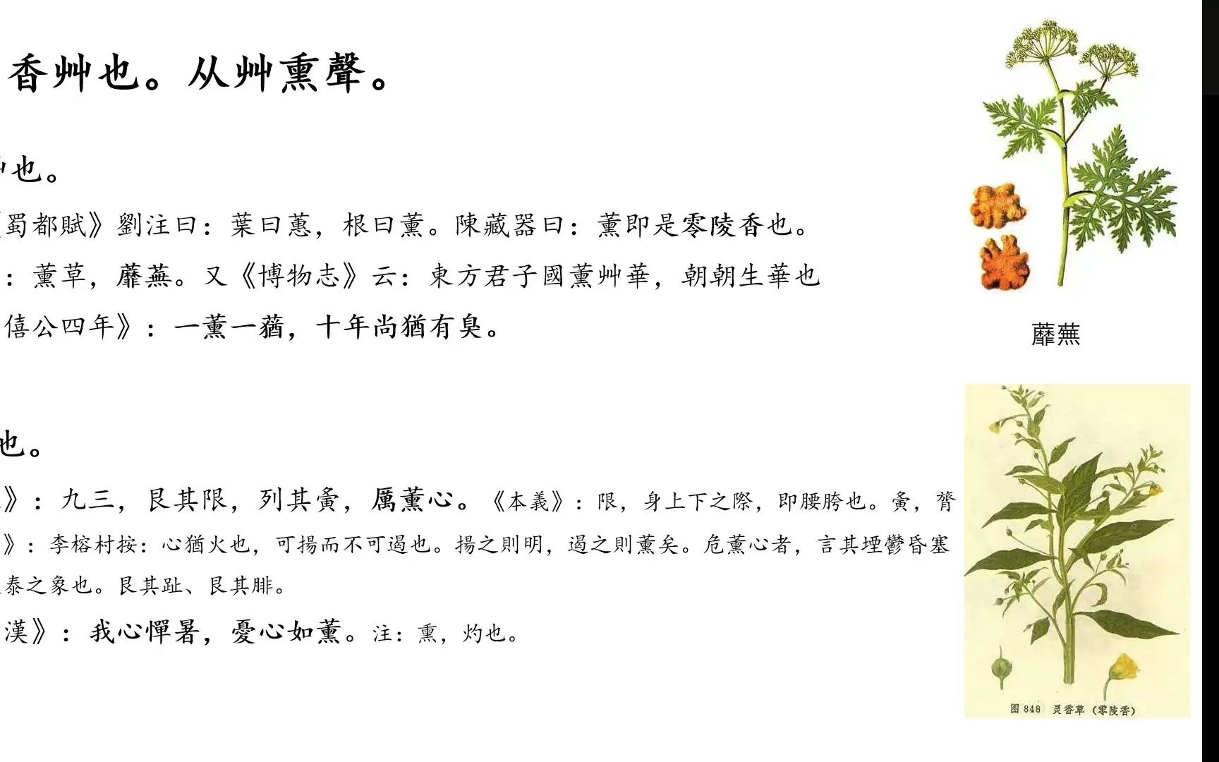 说文解字丨薰:薰心则危哔哩哔哩bilibili