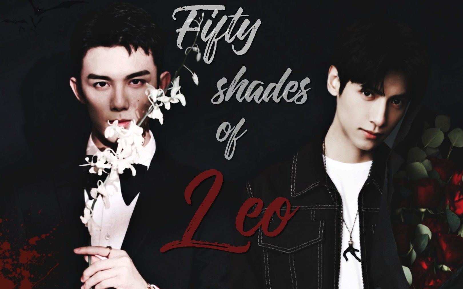 【吴磊x罗云熙】/leo的五十道阴影/颜值盛宴/双leo