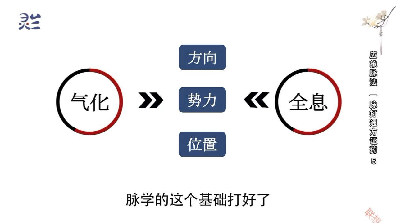 .应相脉法谢相智(脉法方派,完结)第2章 脉学原理 气化 全息(6讲)46讲哔哩哔哩bilibili