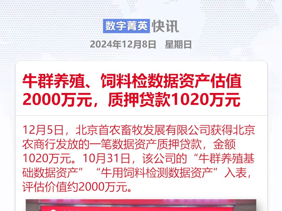 牛群养殖、饲料检数据资产估值2000万元,质押贷款1020万元哔哩哔哩bilibili