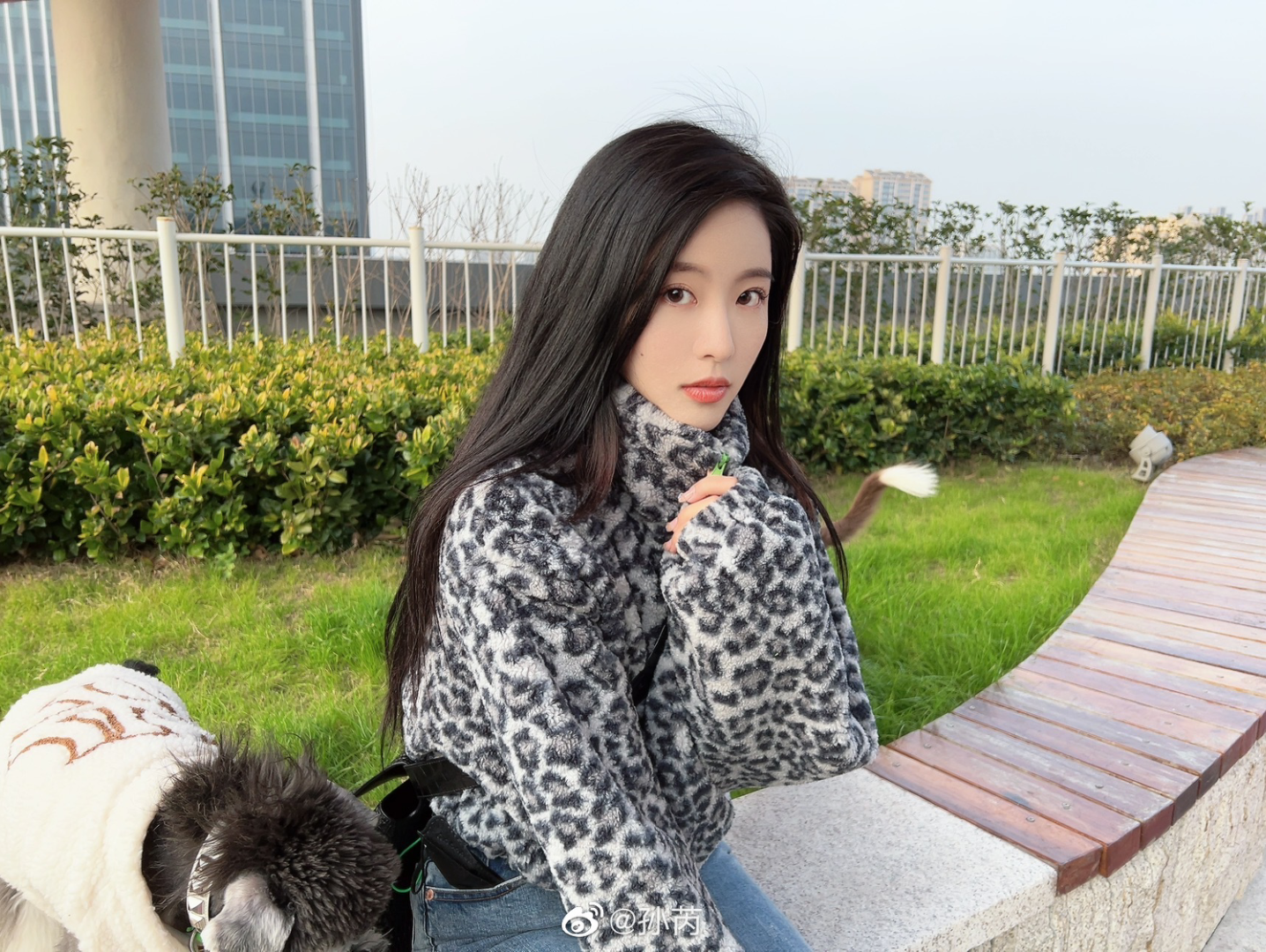 活动  孙芮微博更新2021-12-12