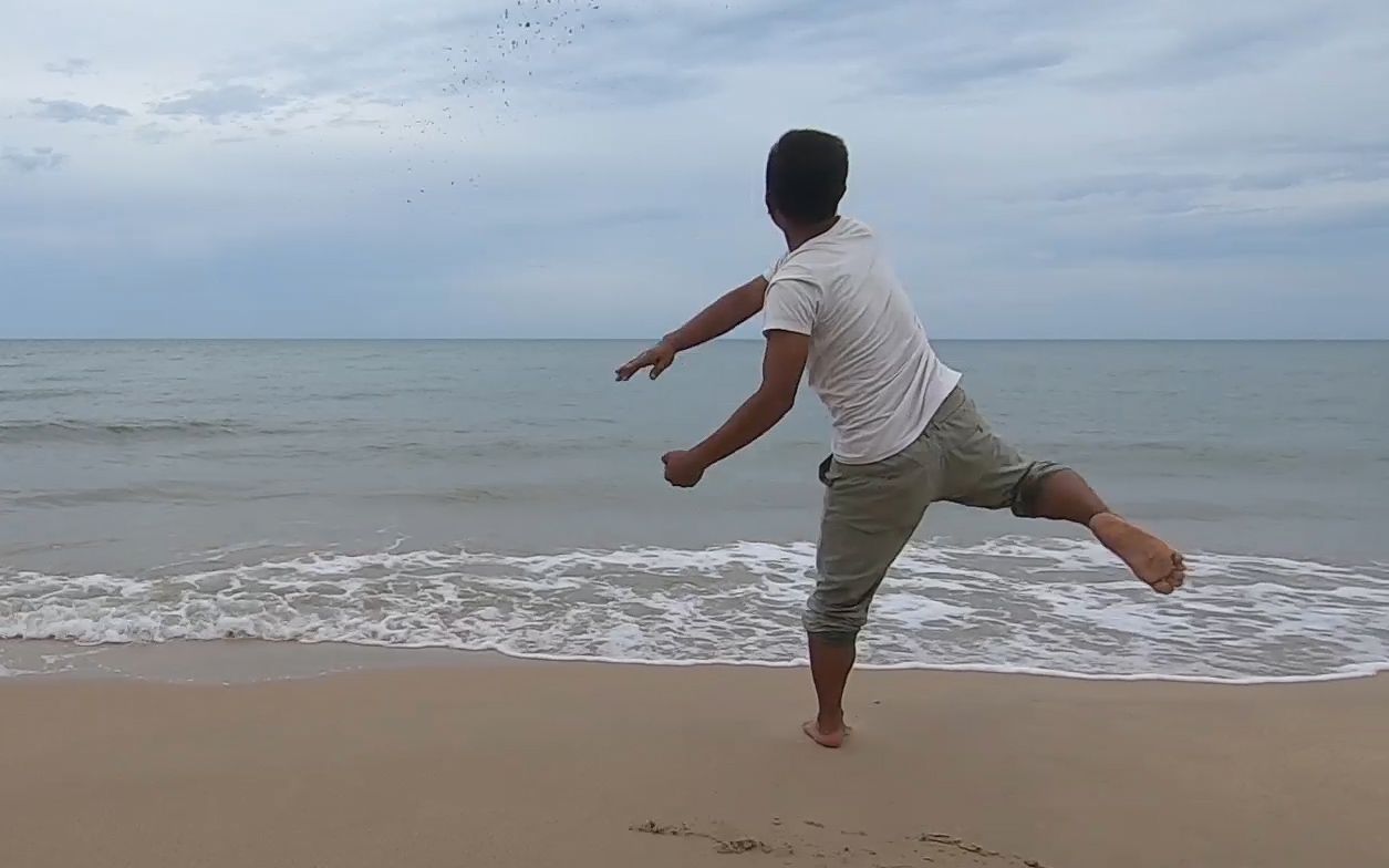 阿波赶海嗨翻天了徒手挖到蛤蜊之王几百颗的海鲜随便扔了