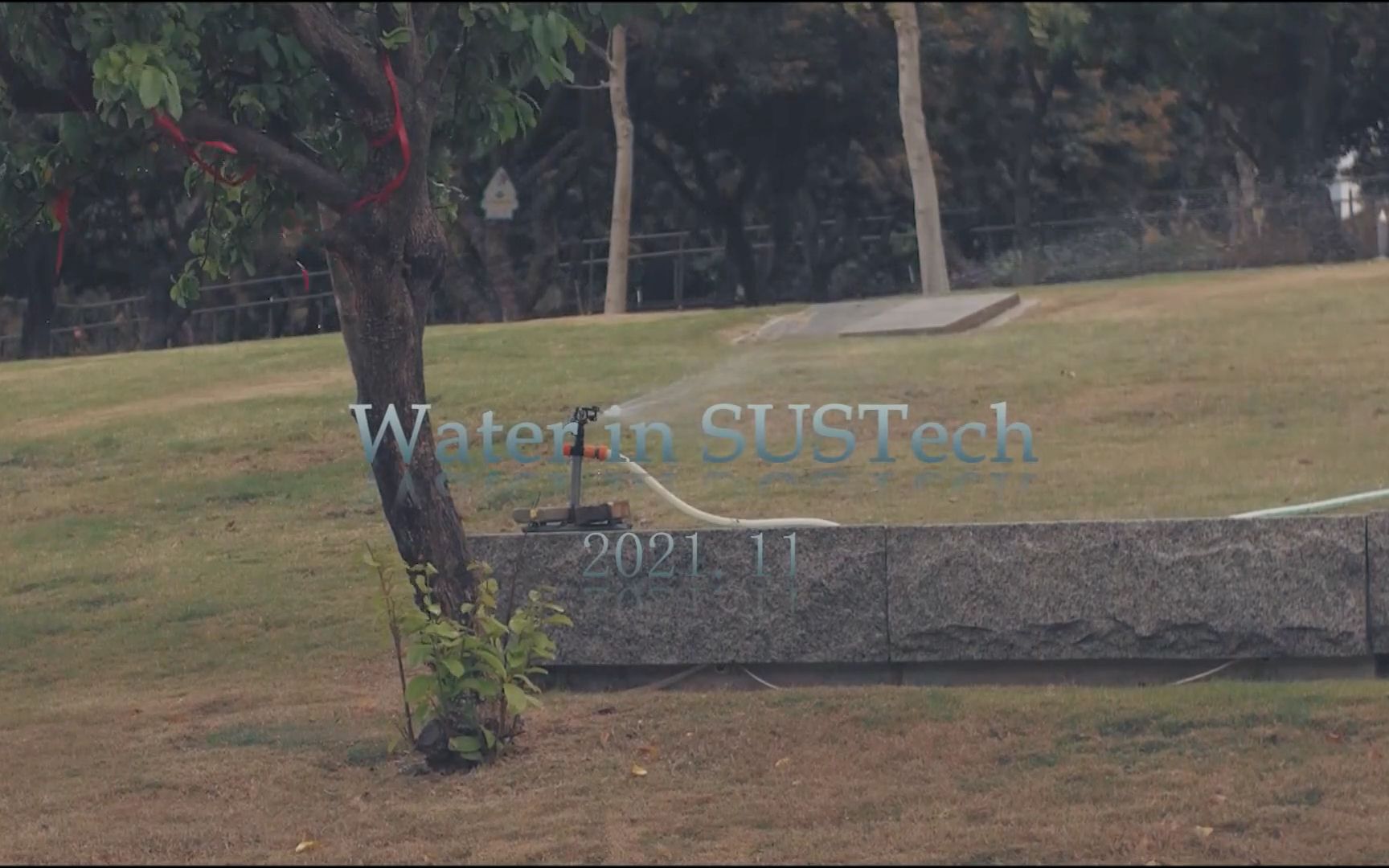 Water in SUSTech(期中作业不需要点赞)哔哩哔哩bilibili