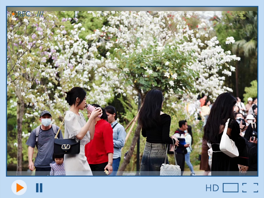 花开时节.芬菲烂漫.寻处风景.春日悠闲哔哩哔哩bilibili