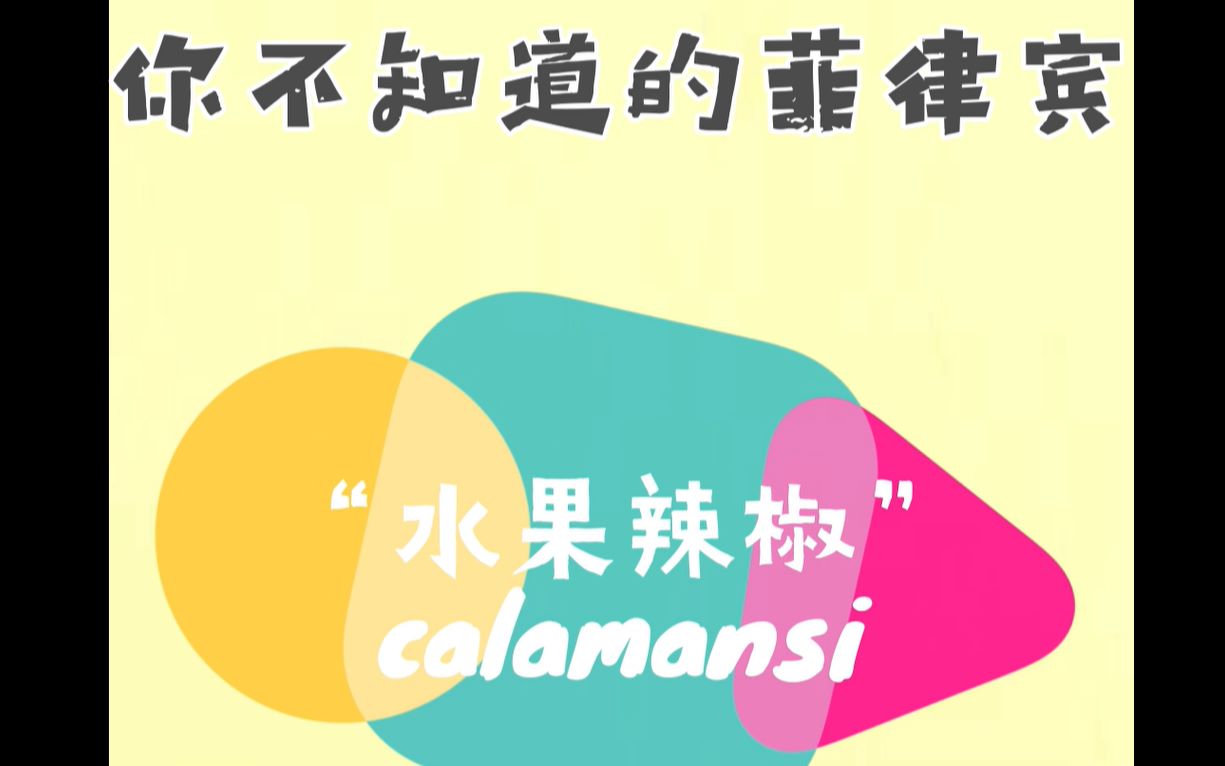 科普| 你不知道的菲律宾“水果辣椒”calamansi哔哩哔哩bilibili