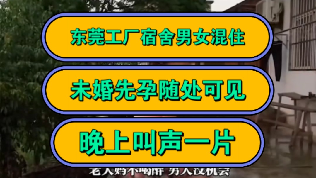 东莞工厂男女混住,未婚先孕随处可见,晚上叫声一片!哔哩哔哩bilibili