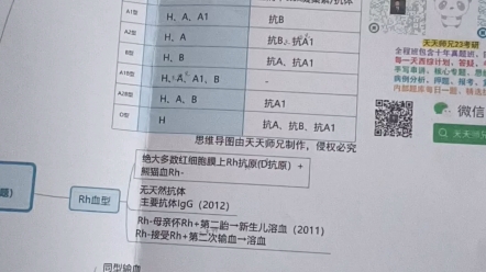 生理血液思维导图哔哩哔哩bilibili