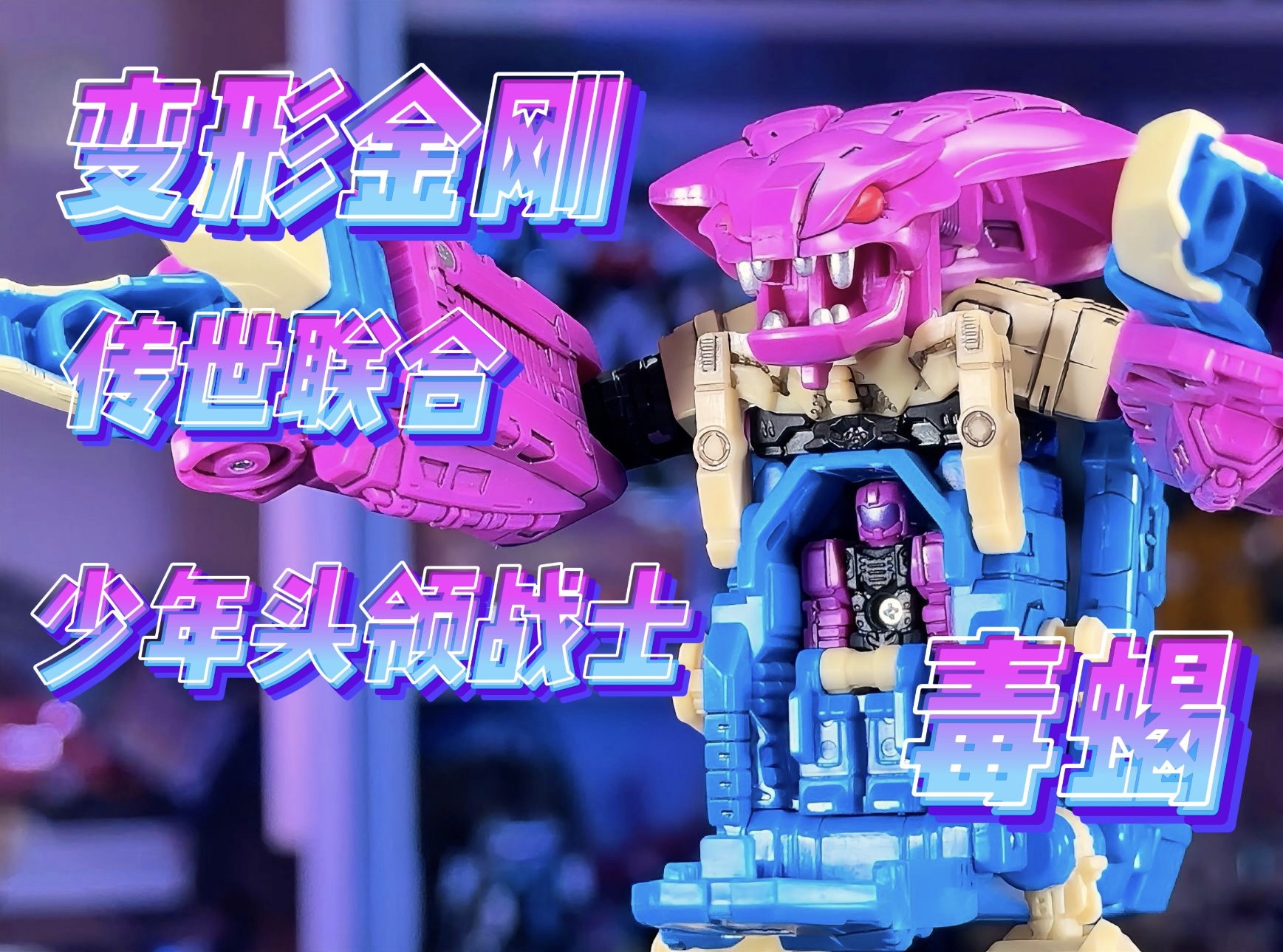 【秉贵の奇怪解说】变形金刚 少年头领战士 毒蝎