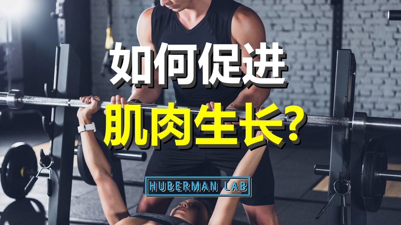 力量训练要做几组?怎么做?如何判断自身的增肌天赋?(含推广)哔哩哔哩bilibili