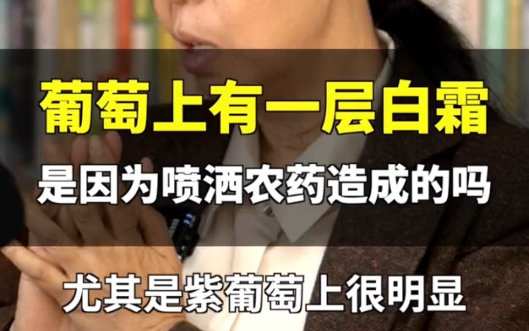 葡萄上的白霜是农药吗?能不能放心大胆吃?哔哩哔哩bilibili