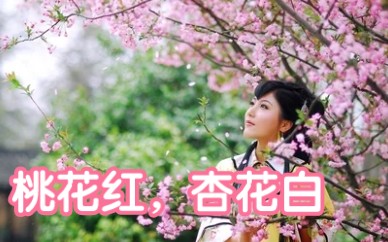 [图]山西原生态民歌《桃花红杏花白》