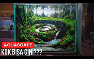 Download Video: Aquascape megelang 水草大赛决赛现场